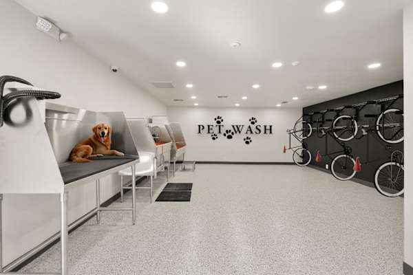 dog grooming salon with a dog sitting on a grooming table. at AVIA Lofts on Parkway, Washington , 98662